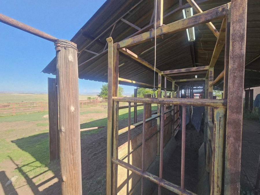 17 Bedroom Property for Sale in Ladybrand Free State